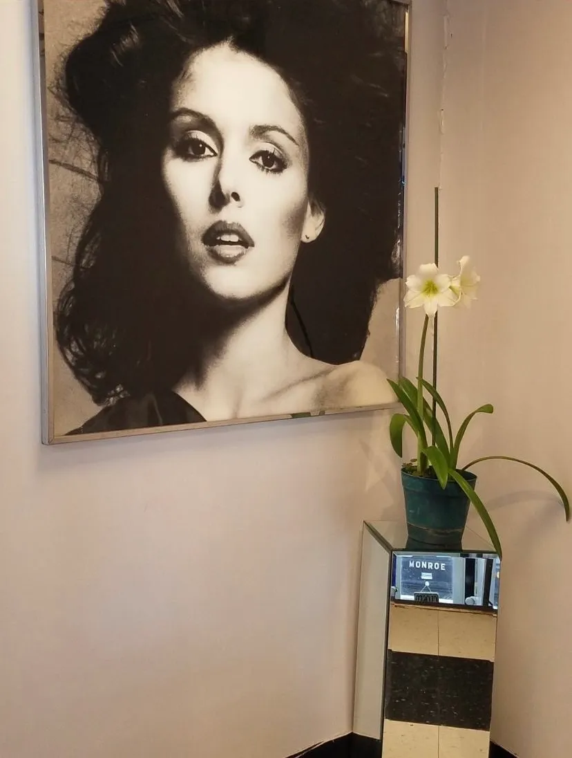 Large framed black-and-white glamour portrait on the salon wall beside a white amaryllis and a mirrored 'Monroe' pedestal