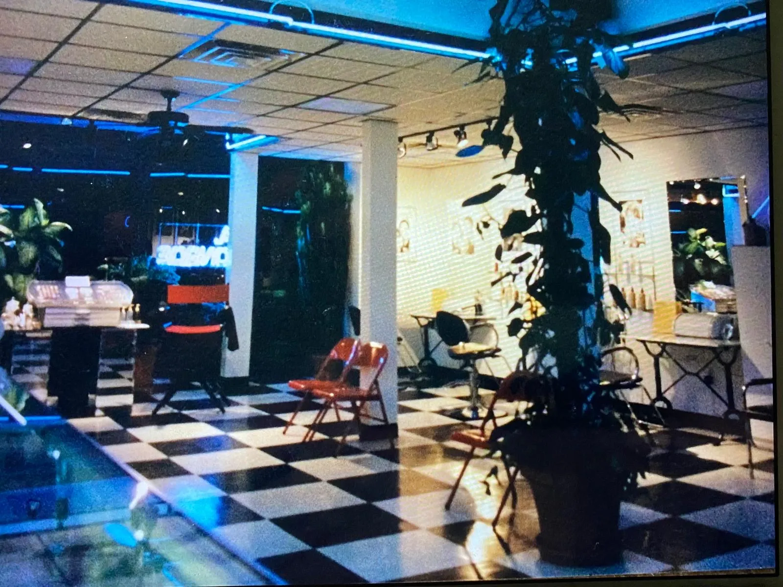 Wide view of the salon interior with a tall central plant, checkered floor, and styling stations under blue neon lighting