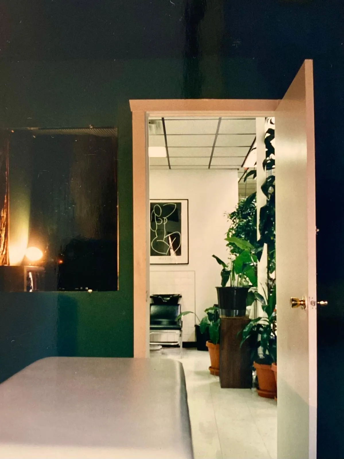 Doorway view into a salon room with a Matisse line-art print, potted plants, and a shampoo station